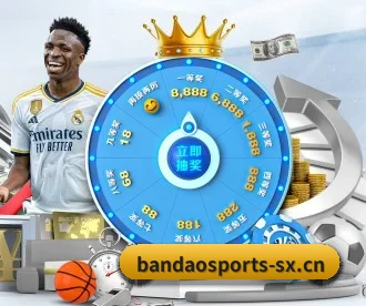 半岛体育 APP(BANDAO SPORTS)